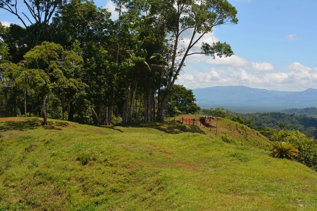 Expansive Ocean View Development Land, Osa, Puntarenas