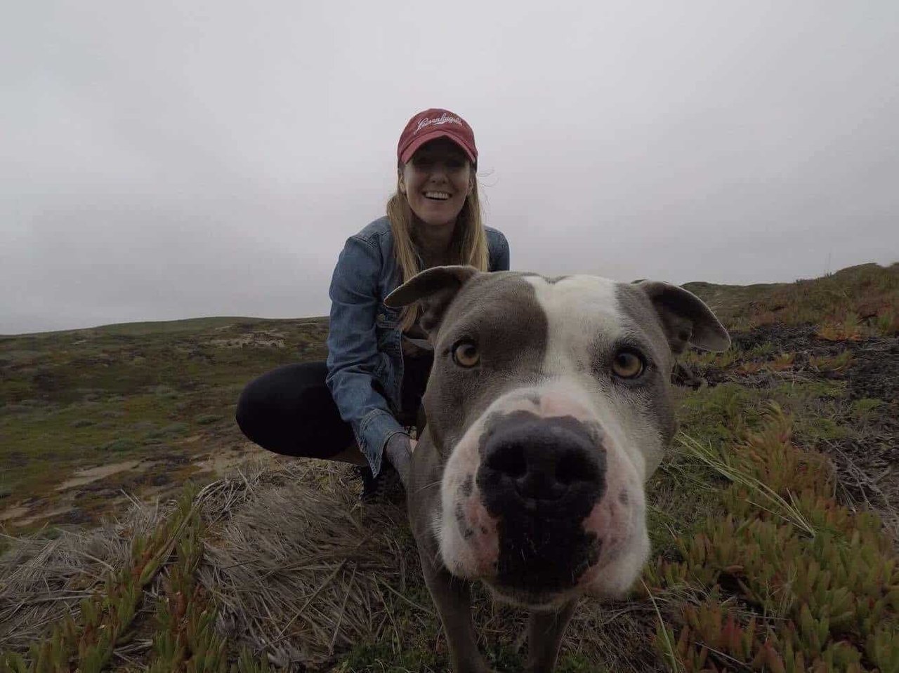 Best of San Francisco: Destinations with Dog