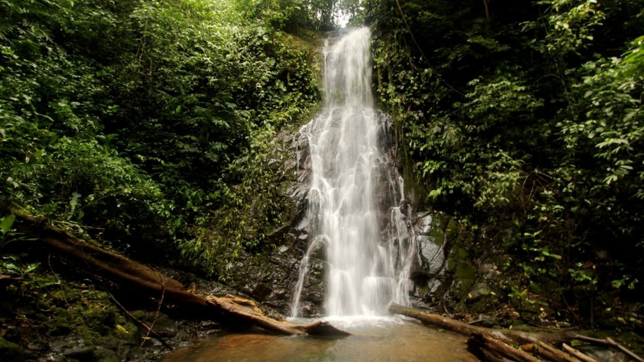 Waterfall Riverfront View Land, Uvita, Puntarenas