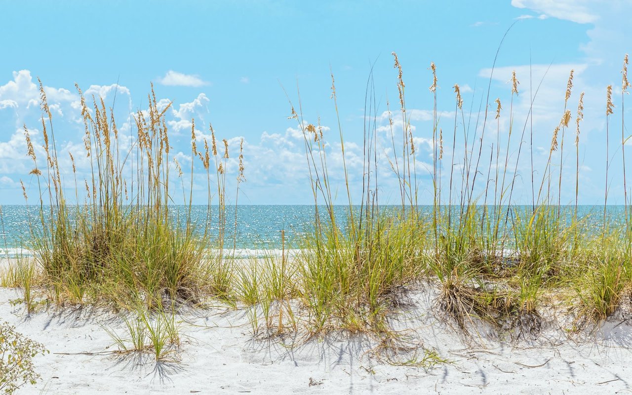 Live With An Ocean View And Earn Income!