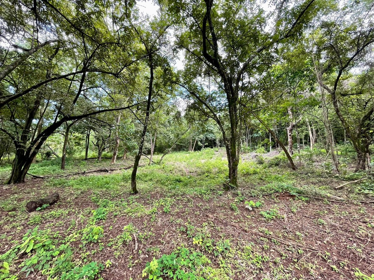 Private Tropical Building Lot, Tamarindo, Guanacaste
