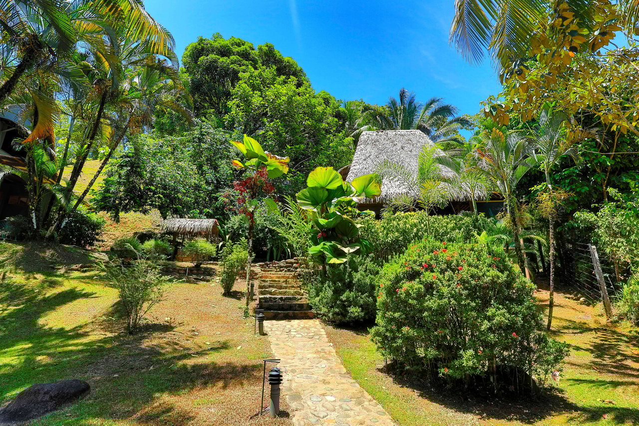 A MONEY MAKER! Location, home, guest cabins, with a SUCCE$$FUL exclusive distribution agency!
