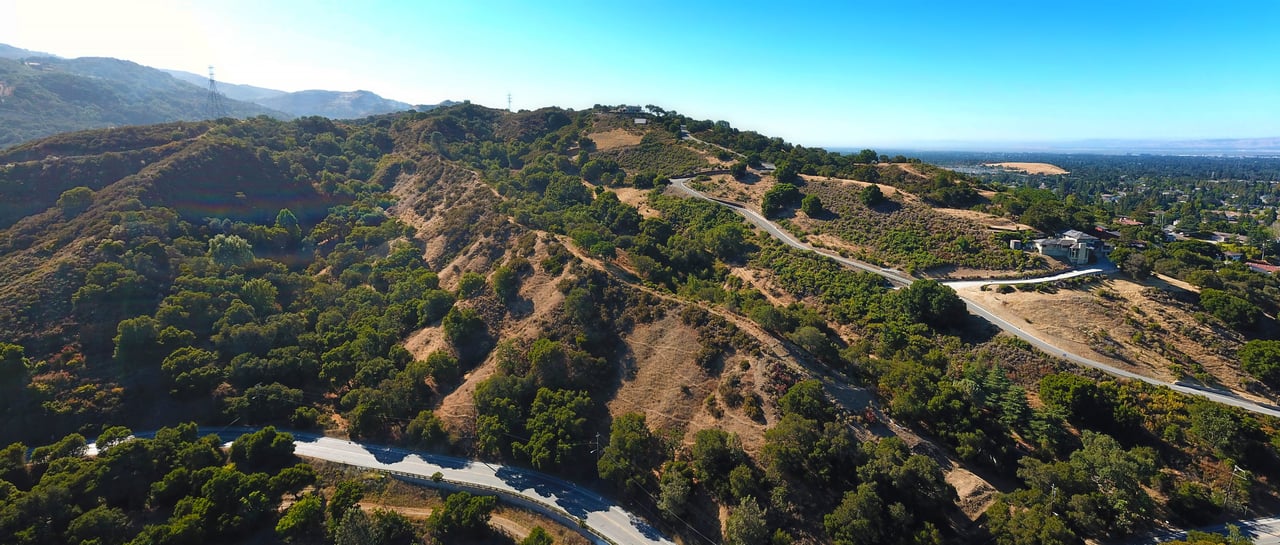 An aerial view of a road winding through a forest on a hill, with a mix of evergreens and scattered houses.