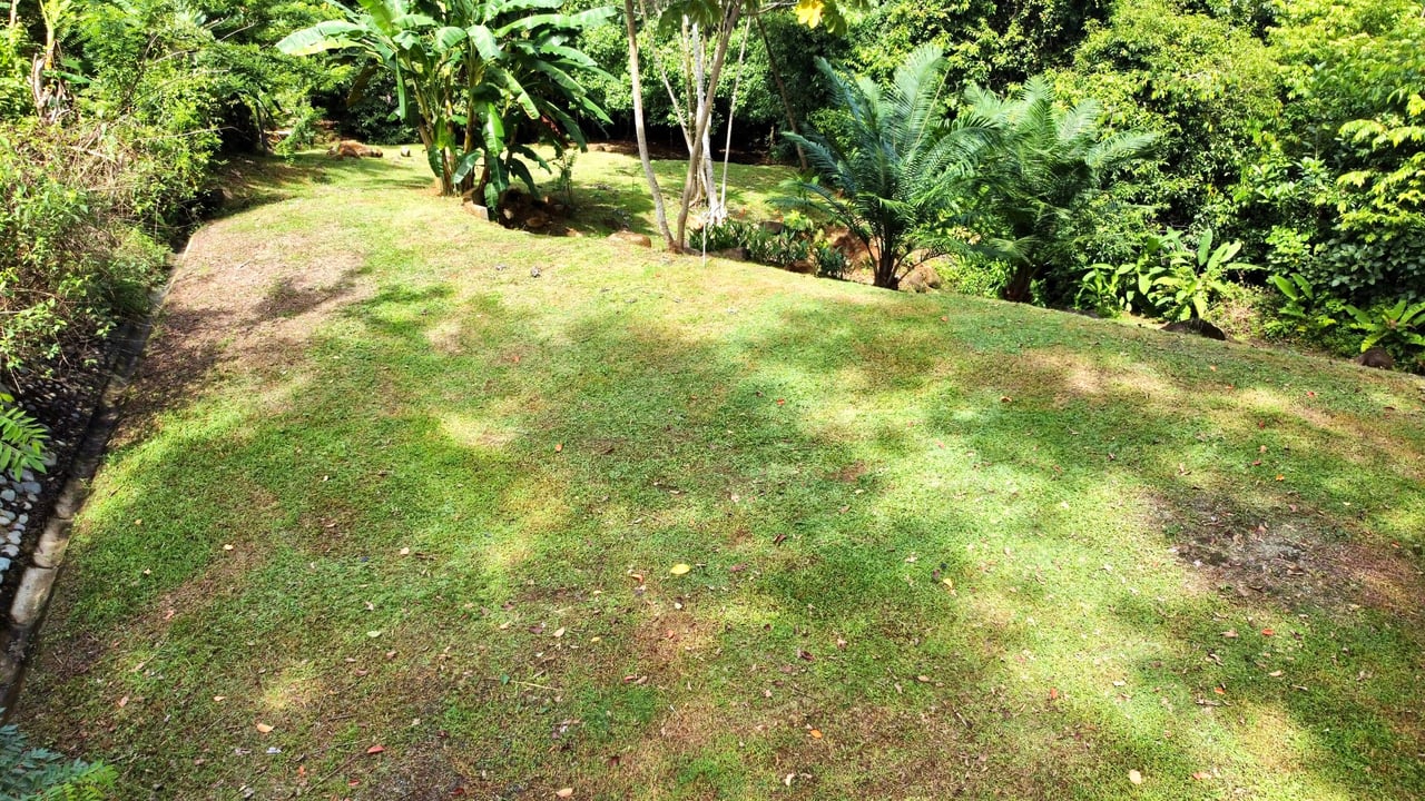 Secret Paradise Property in Altos de la Colonia