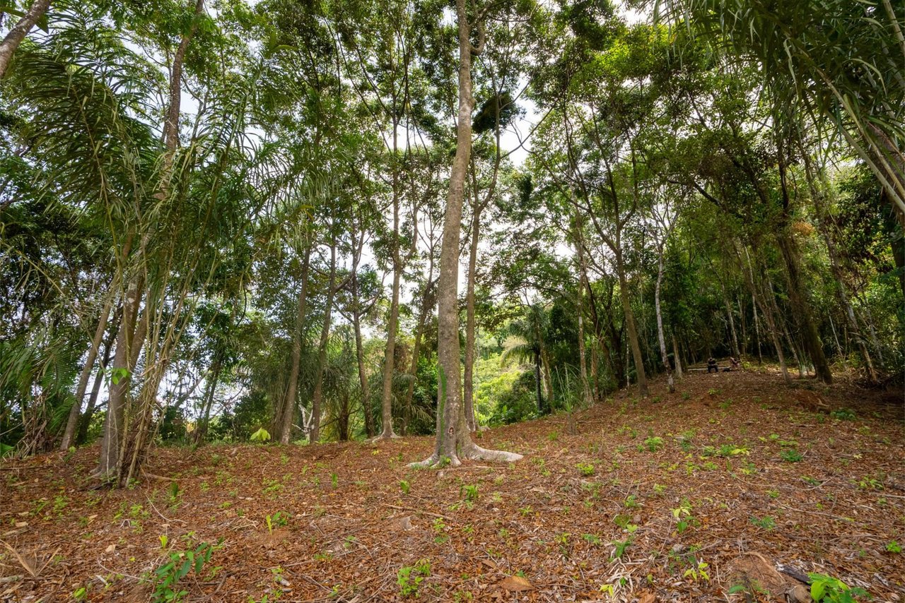Private Ocean View Development Lot, Dominical, Puntarenas