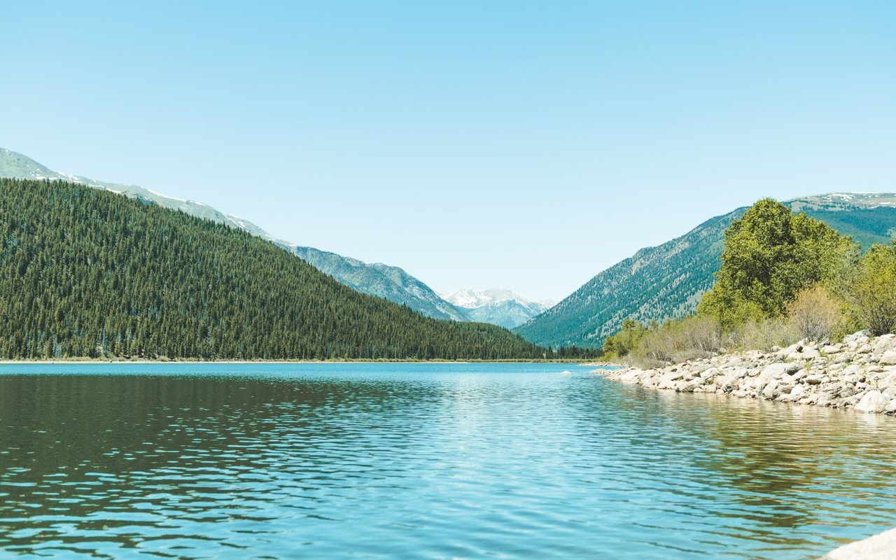 A Look Back on the 2022 Lakefront Market on the North and West Shores