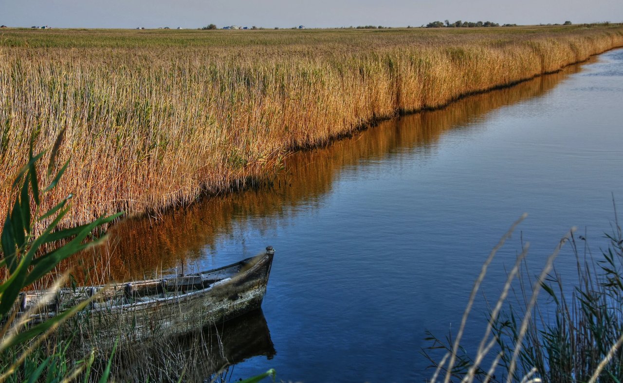 Grassy marsh with wooden canoe in Hummock Pond.