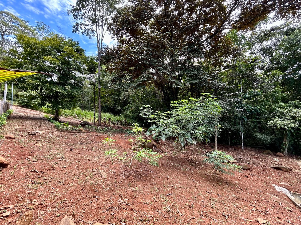 Jungle Side Lots in Uvita, Walking Distance to Amenities