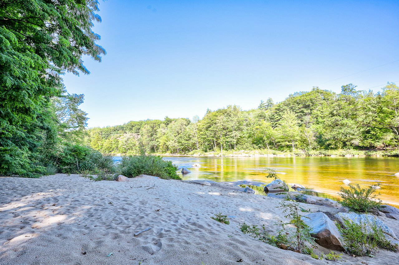 Evergreens on the Saco