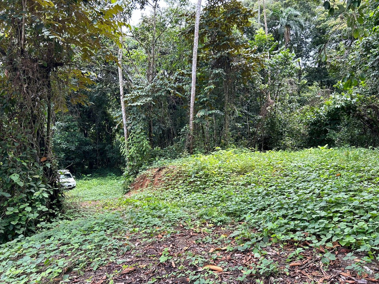 River frontage lot in desirable neighborhood in Uvita