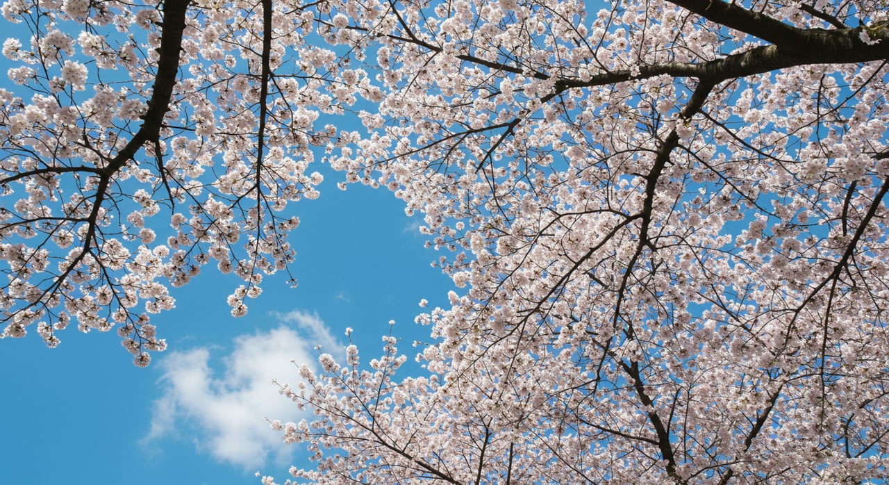 Enjoying Spring in Chicago’s Western Suburbs – April 2019 Edition