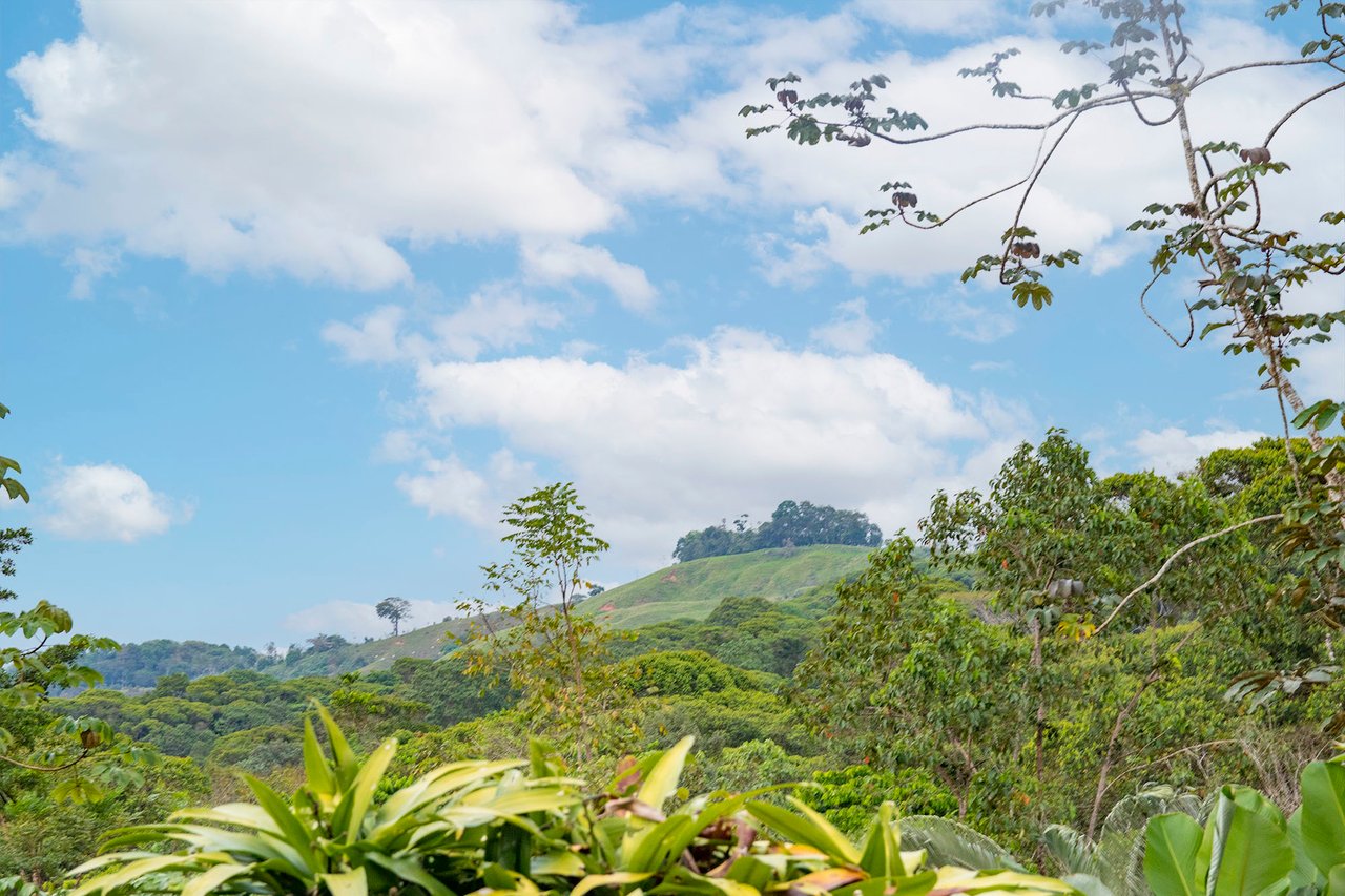 Mountain Home with Guest Cabin, Dominical, Puntarenas
