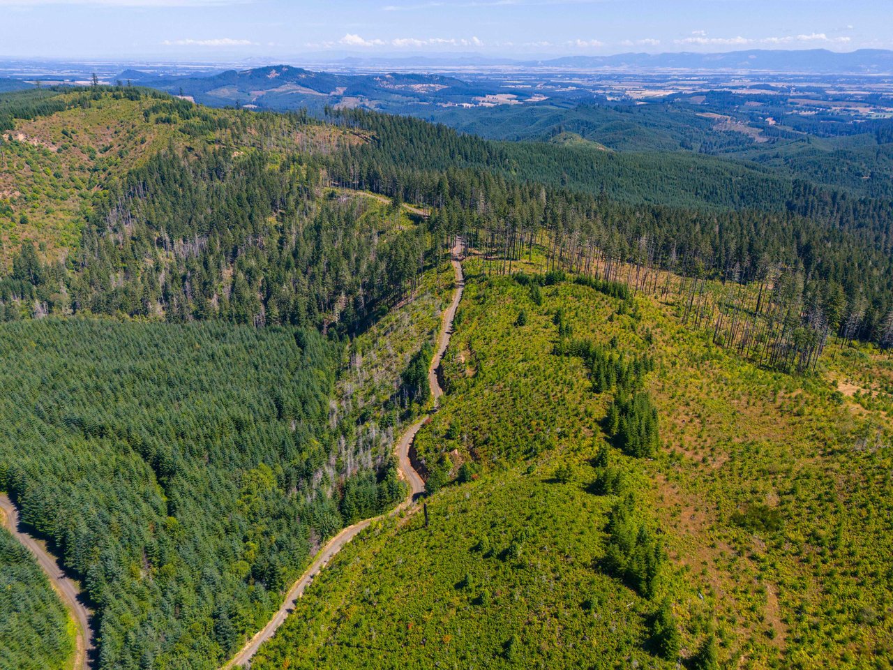 High Pass Tree Farm