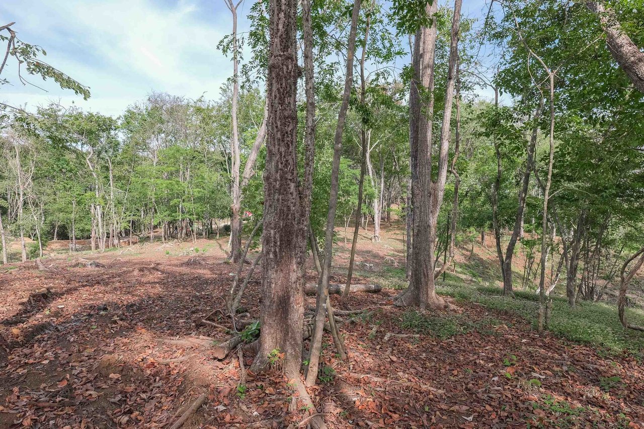Sustainable Coastal Building Lot, Nosara, Guanacaste