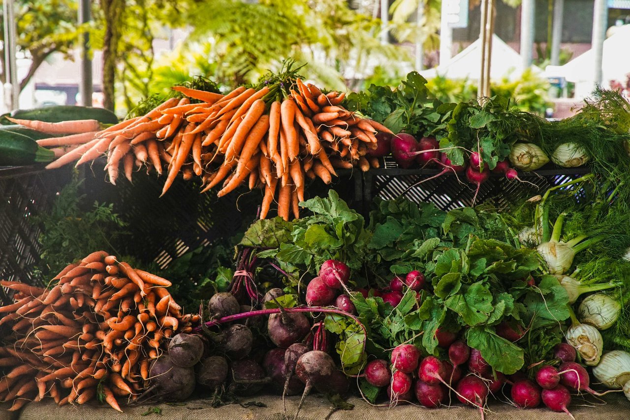 South Florida's Seasonal Markets