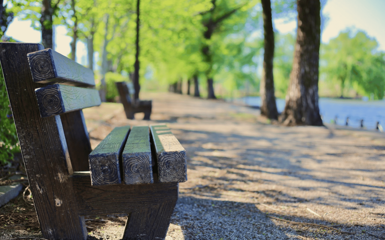 A Guide to Coral Gables Parks