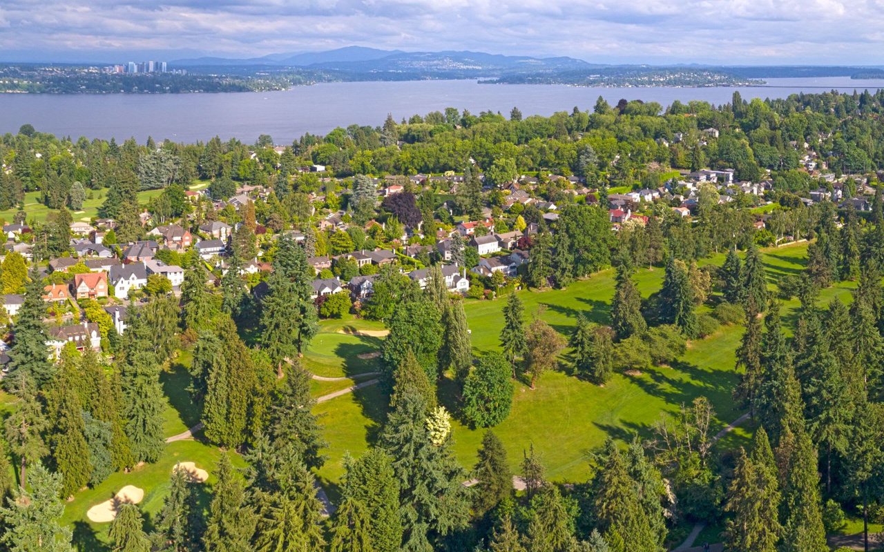 Madrona