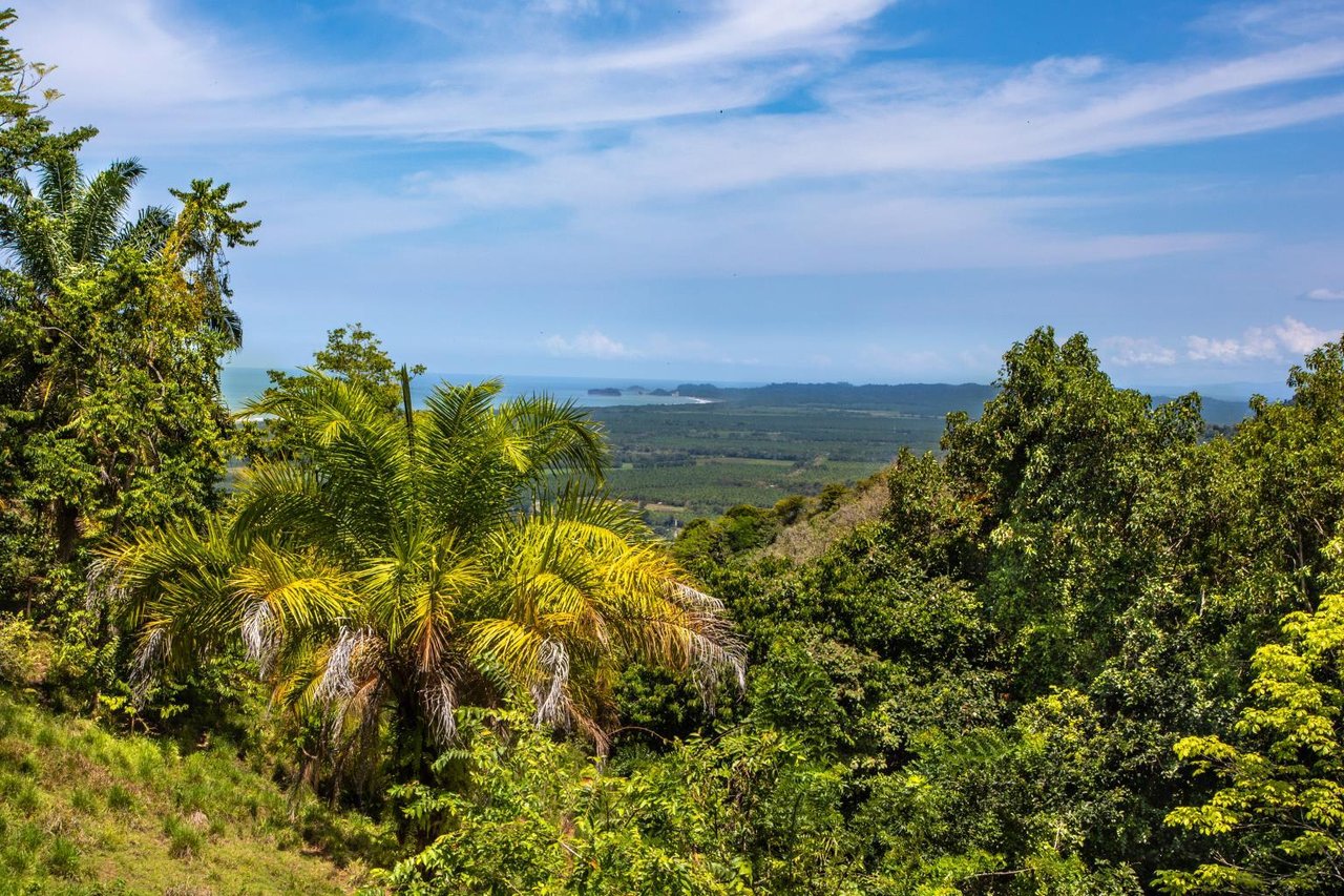 Incredible 7,000 Ft2 Ocean View Home With 200 Acre Reserve!