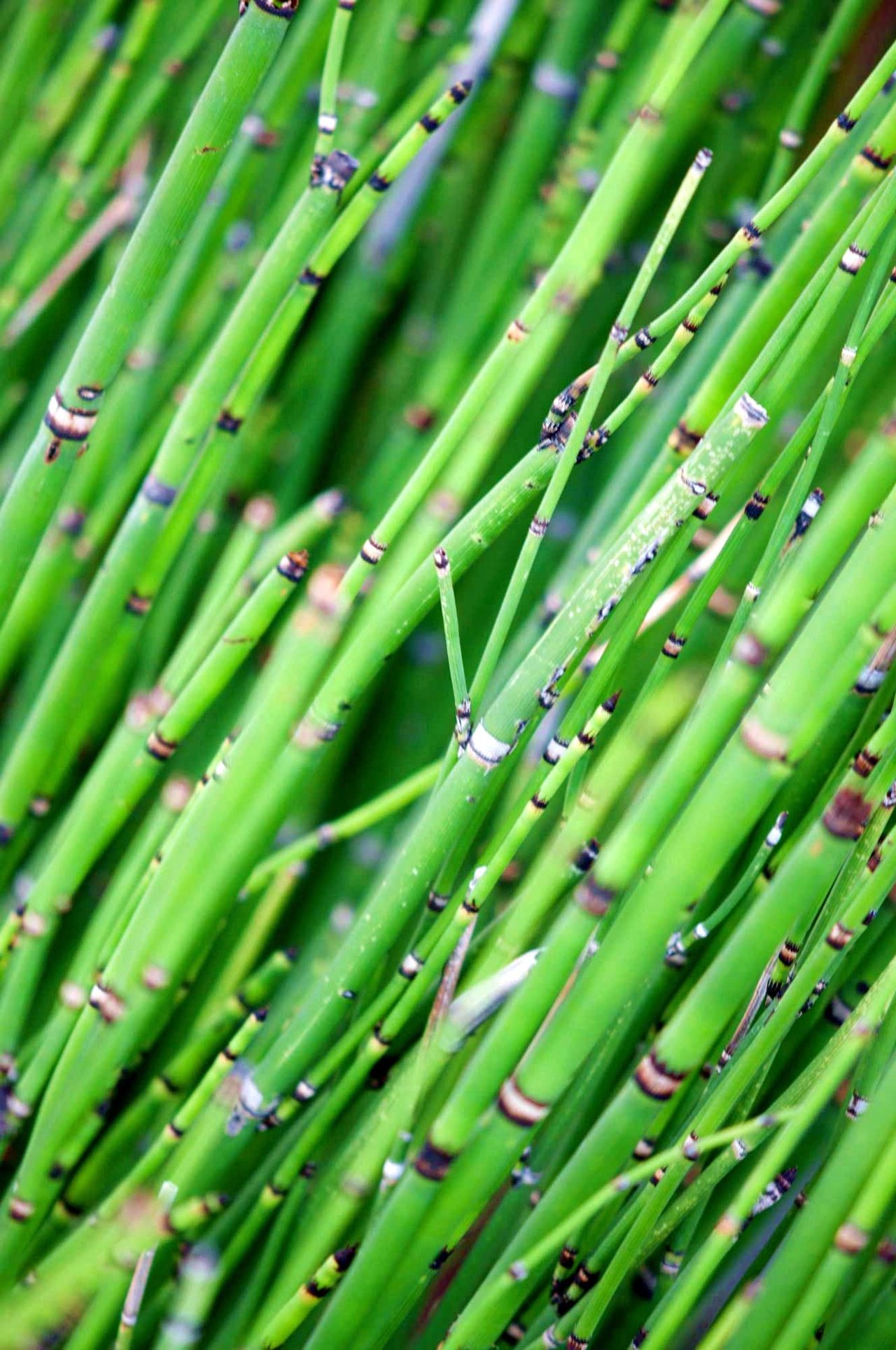 First Impressions – Modern Stunner