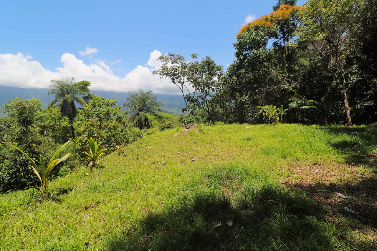 Over One Acre Attractive Lot on the Popular PEREZOSO Road.