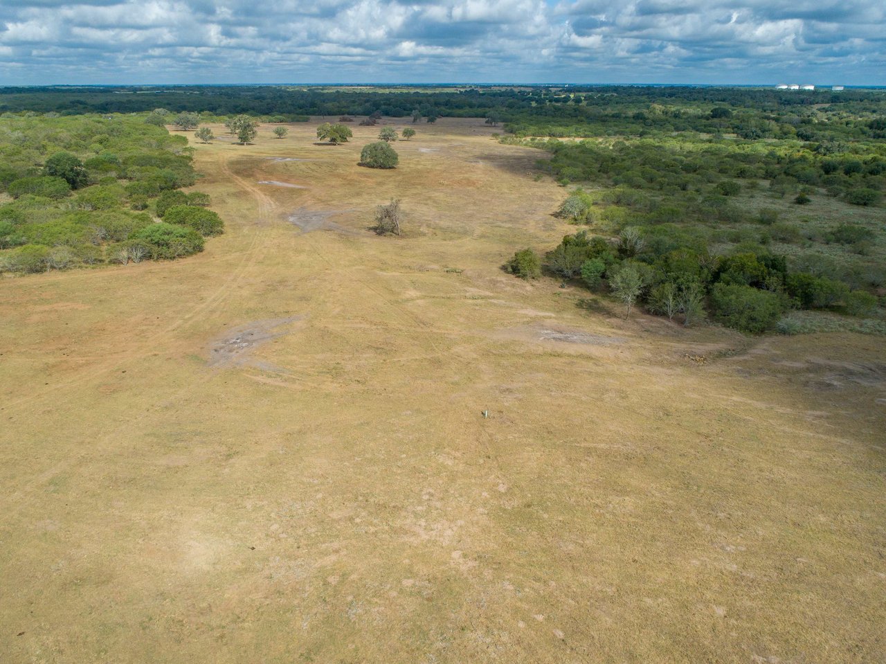 The Poco Loco | 278± Acres | DeWitt County