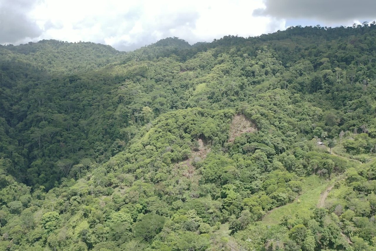 42 Acres With Waterfalls, Ocean Views & Multiple Building Sites Sliencio Ariba