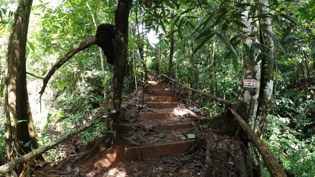 Secluded Rainforest Beachfront Estate, Osa, Puntarenas