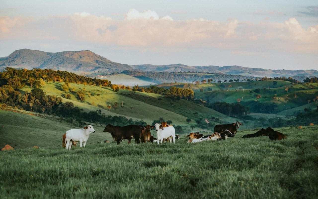 Colorado Springs, CO: Ideal Locations for Ranch Development