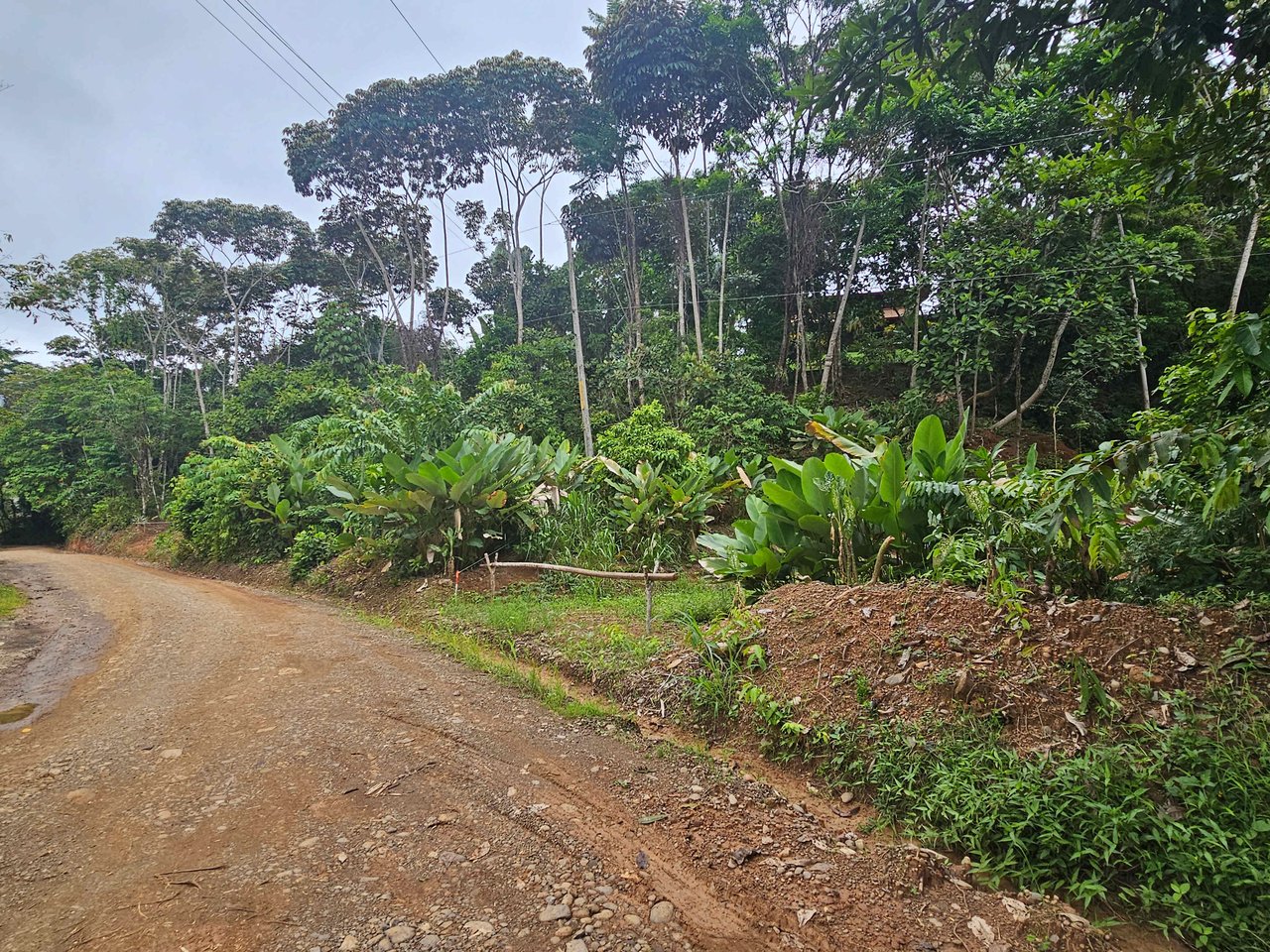 Discover Your Dream in Uvita's Prime Real Estate