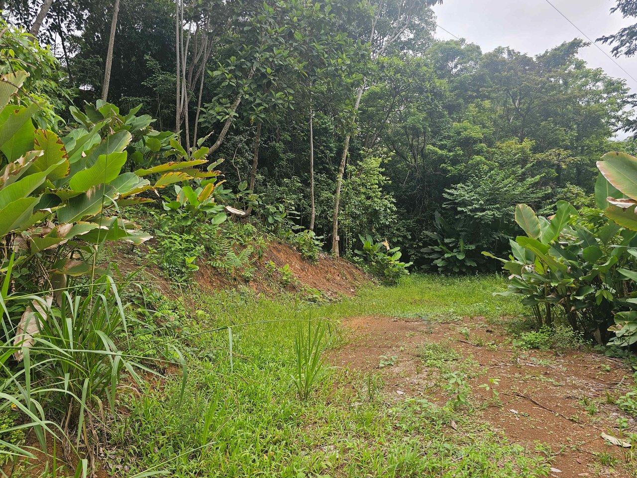 Discover Your Dream in Uvita's Prime Real Estate