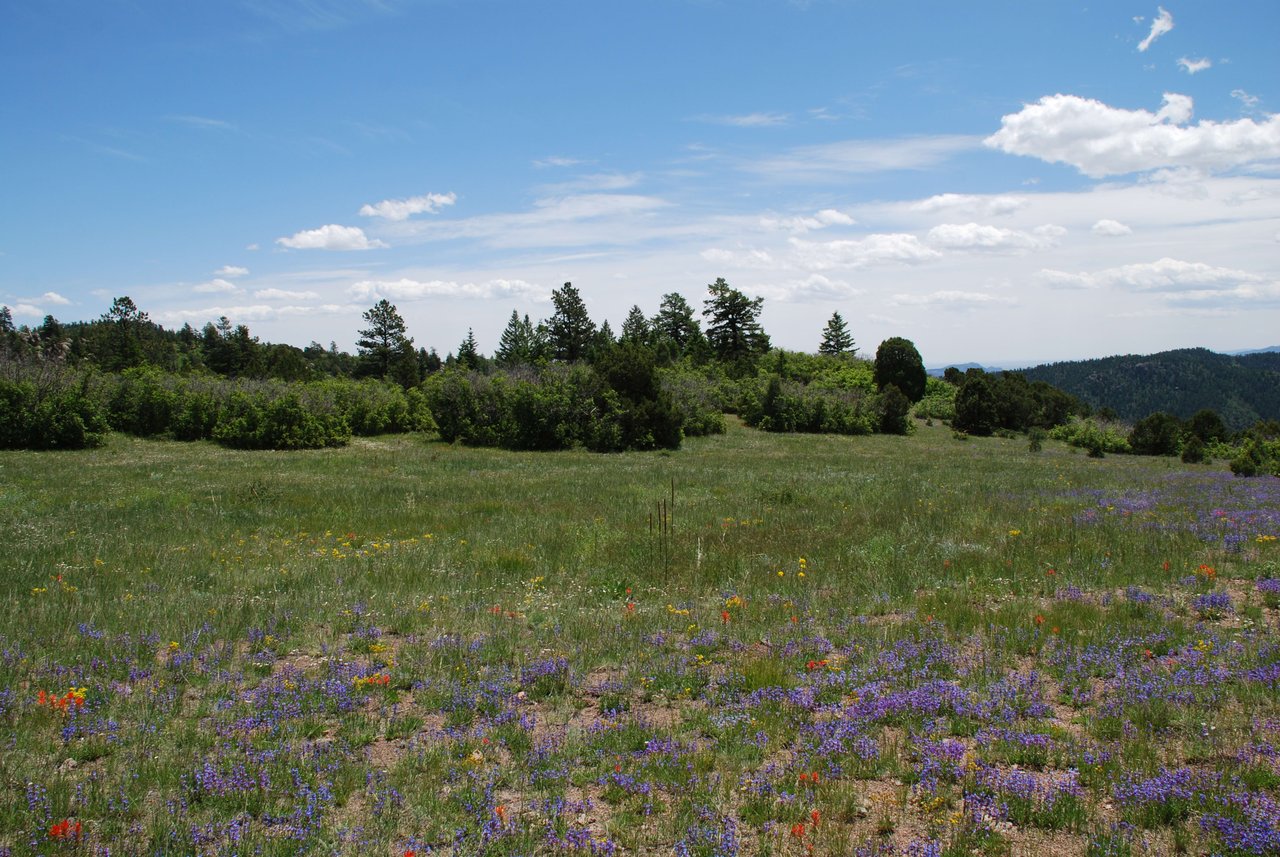 Elk Mountain Ranch
