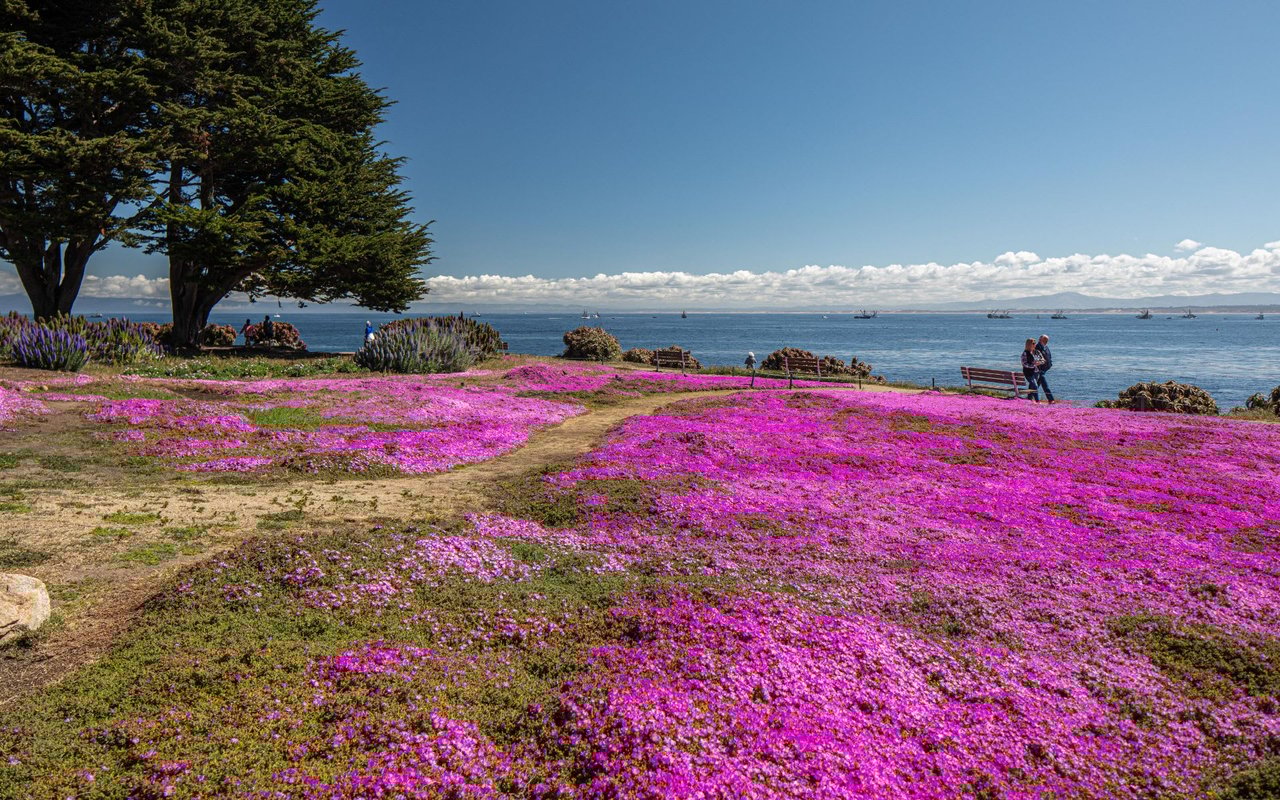 Pacific Grove