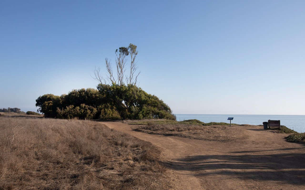 Goleta