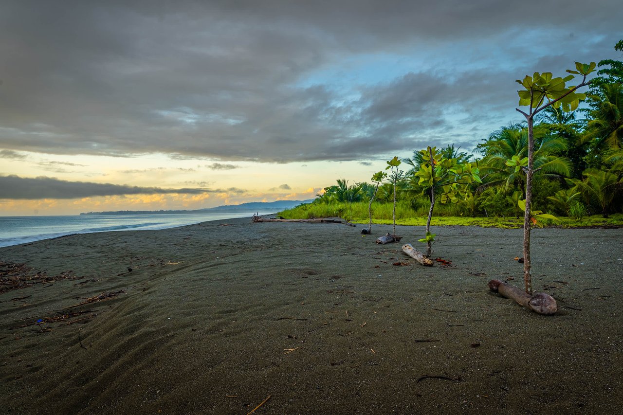 Designer, Income Generating Beachfront!!