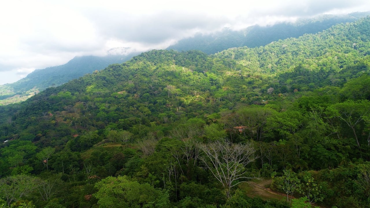 Ocean View Gated Development Land, Ojochal, Puntarenas