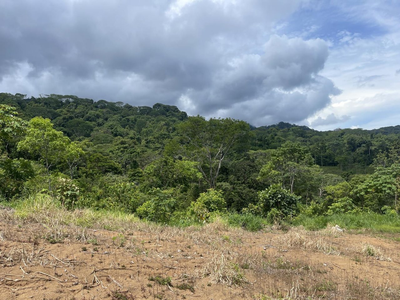 15.9 ACRES – Ocean View Development Property With Legal Water, Public Road, 5 Min From Highway!