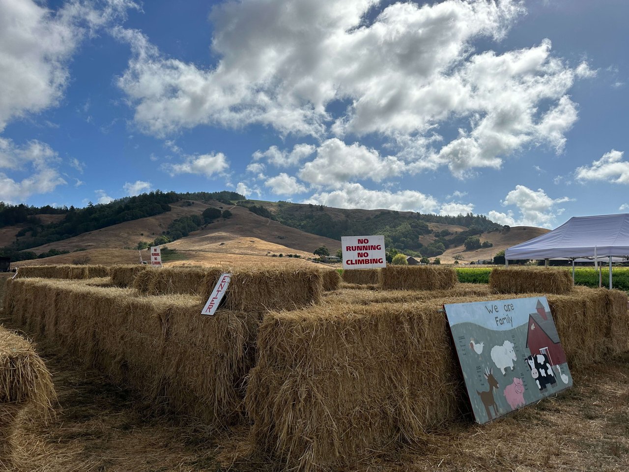 Celebrate Fall in Marin County with a Visit to Nicasio Valley Pumpkin Patch