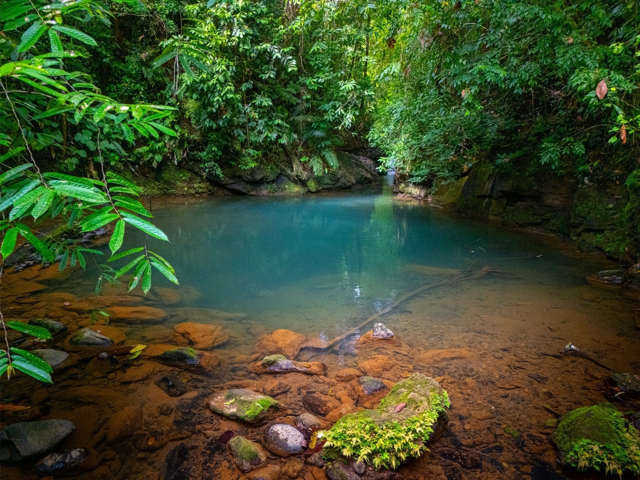 Sustainable Boutique Resort, Ojochal, Puntarenas