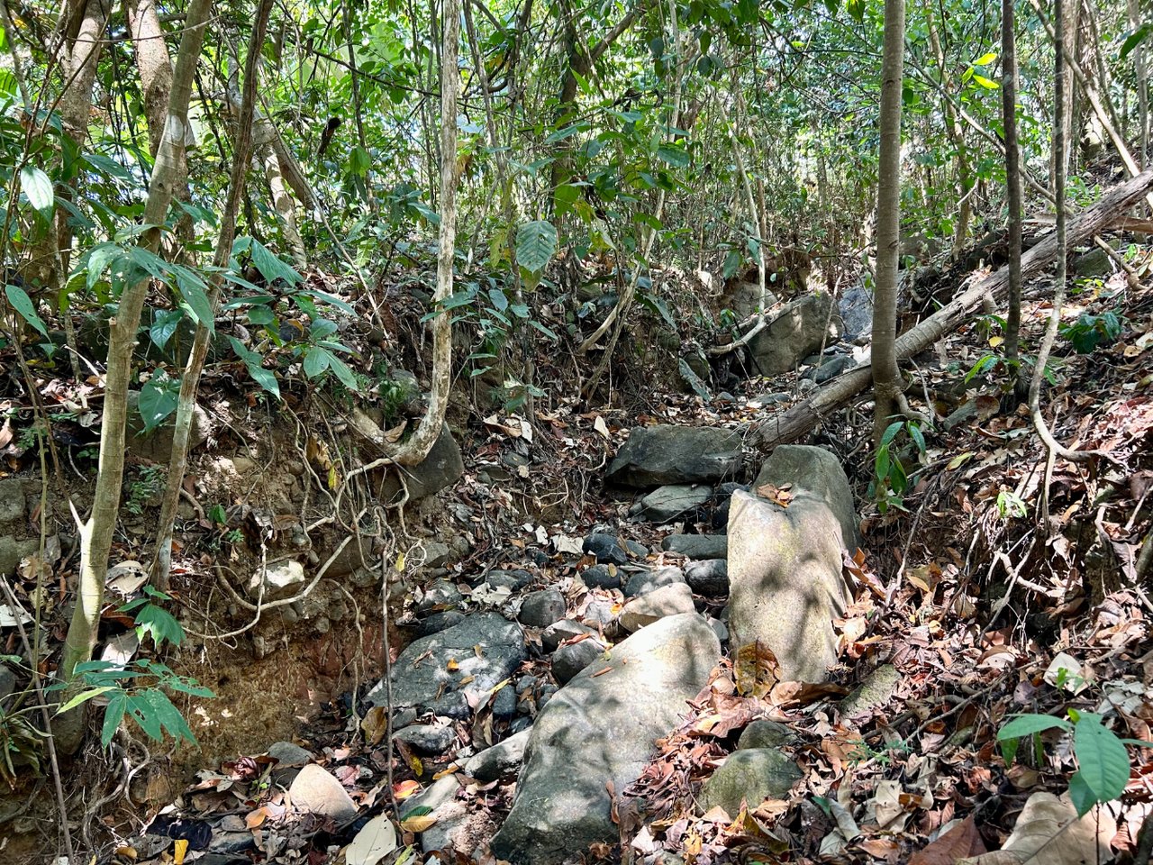 Tranquil Forest Development Land, Dominical, Puntarenas