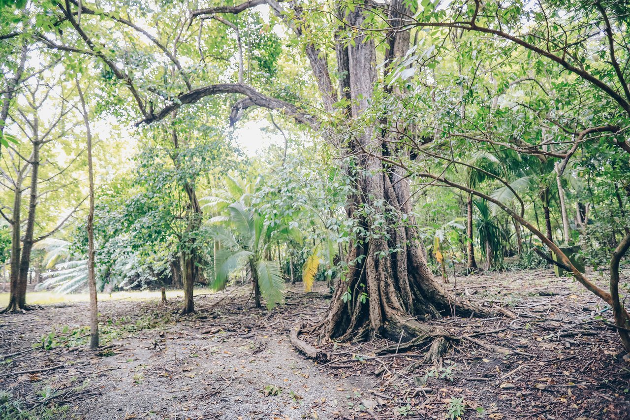 Beachfront Development Acreage, Santa Teresa, Puntarenas