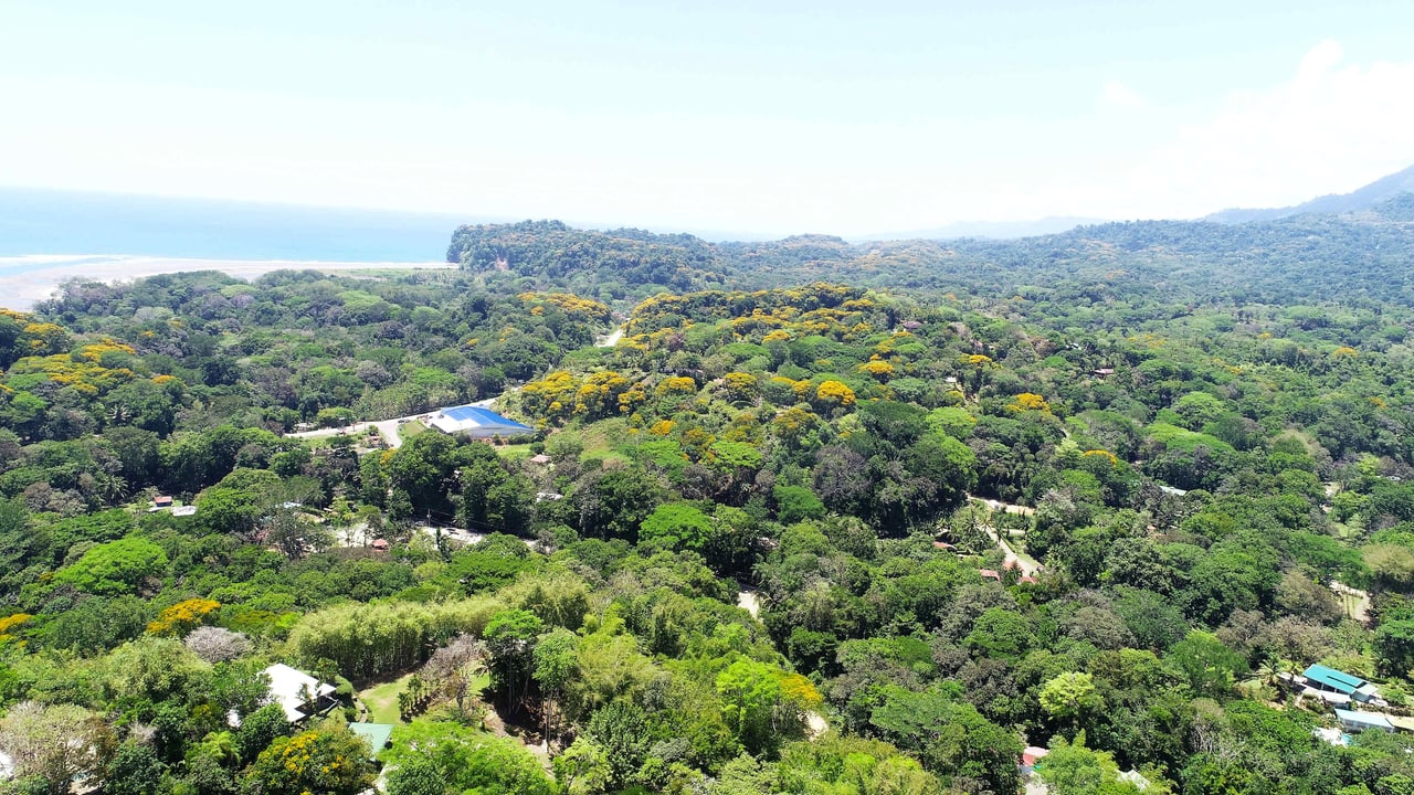 Over One Acre Attractive Lot on the Popular PEREZOSO Road.