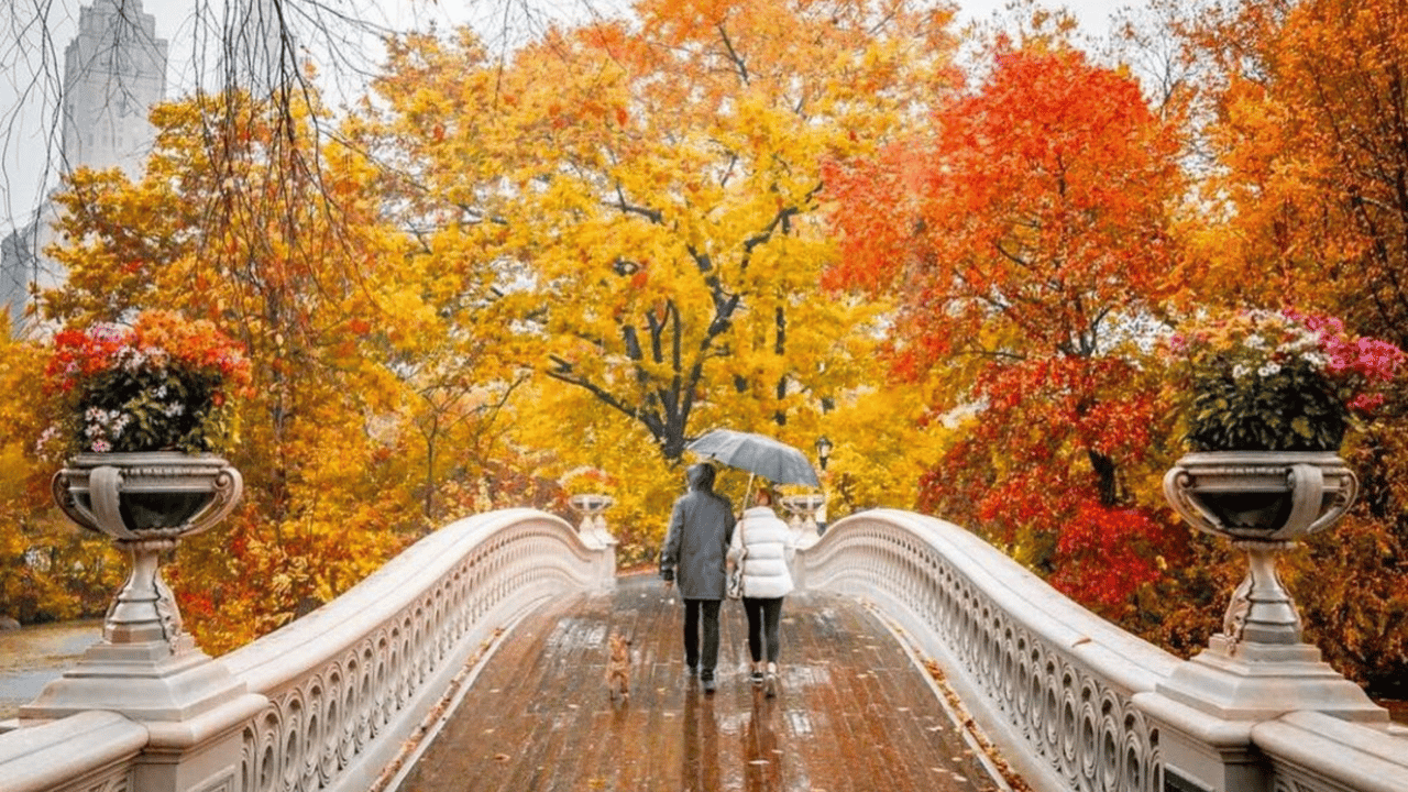 The Market Report: November 2022