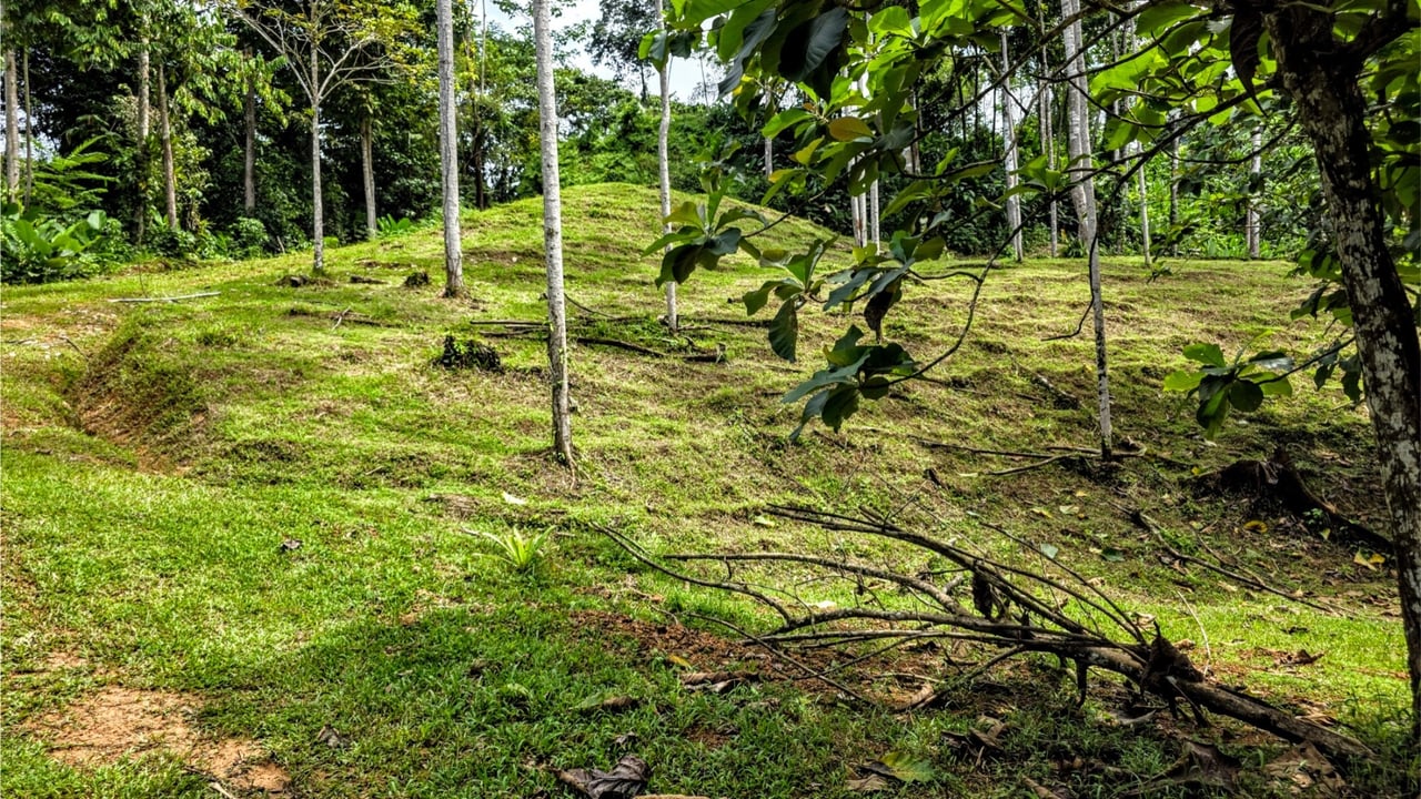 Rainforest Waterfall Acreage Estate, Dominical, Puntarenas