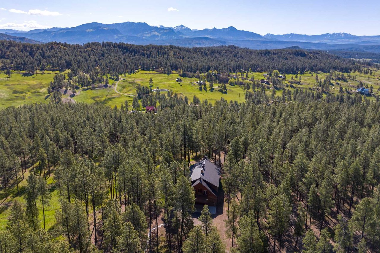 Watusi Ranch - Pagosa Springs, Colorado