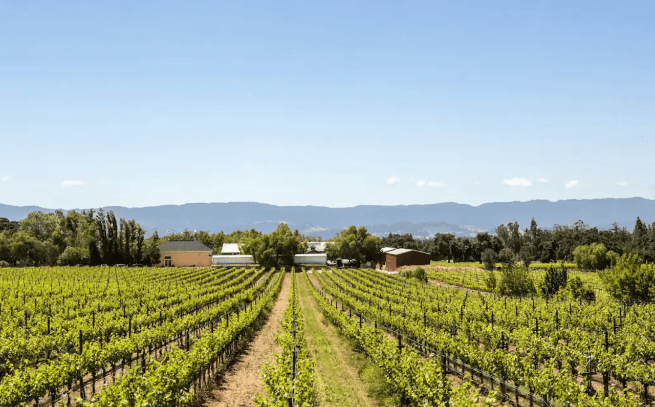 7 Unique Wineries in Santa Ynez That Deserve a Spot on Your Wine Route