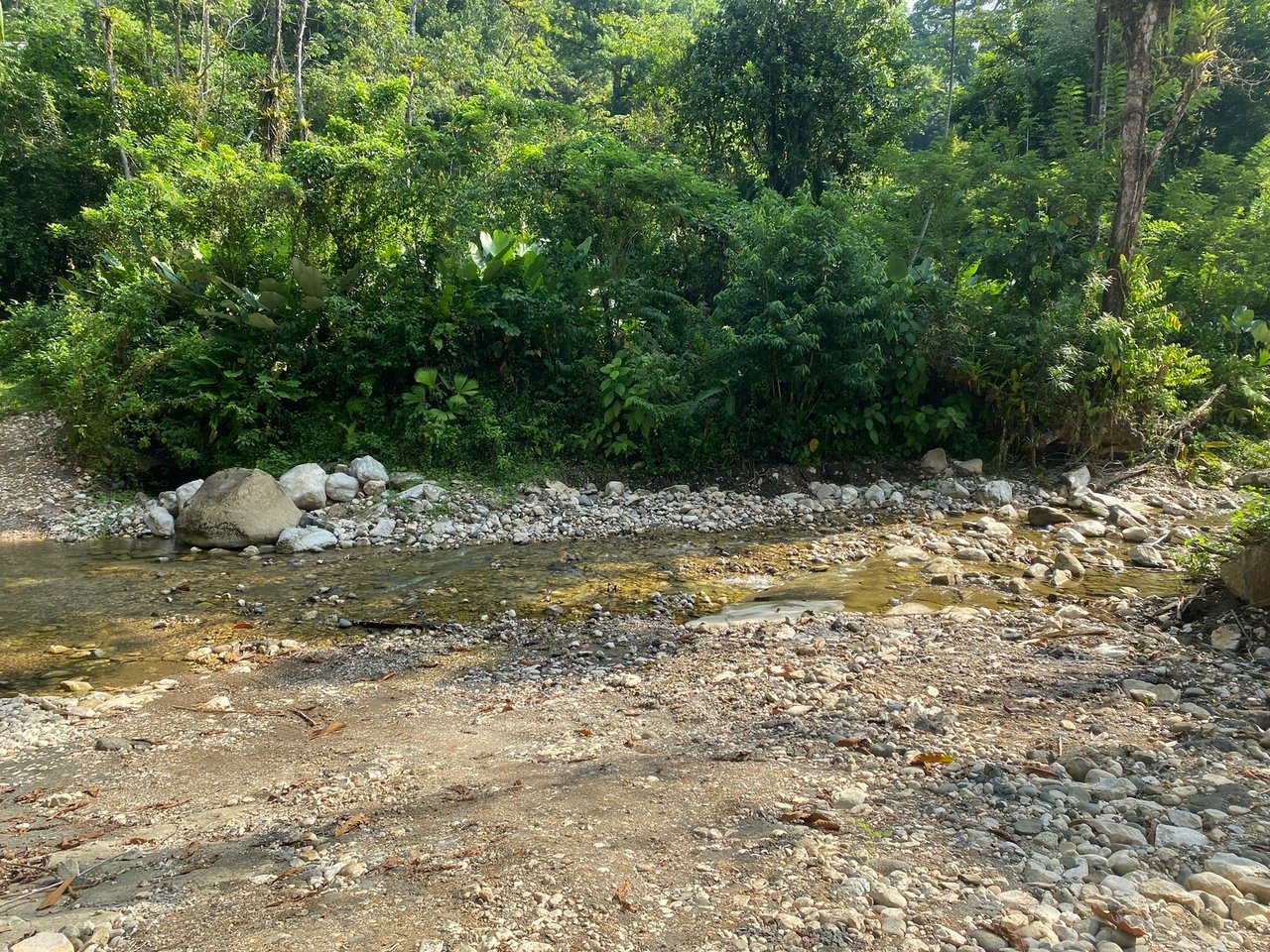 Sustainable Community House, Osa, Puntarenas