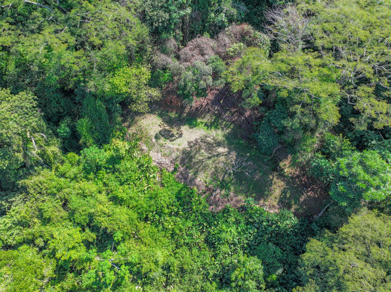 Unveil Paradise: Your Dream Homesite Awaits in Dominical, Costa Rica