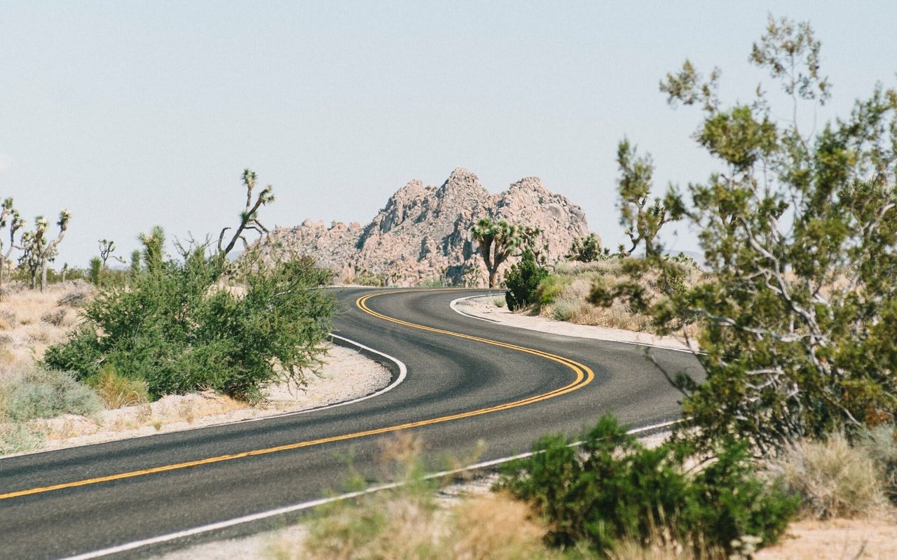Hidden Gem Neighborhood of Phoenix, Arizona