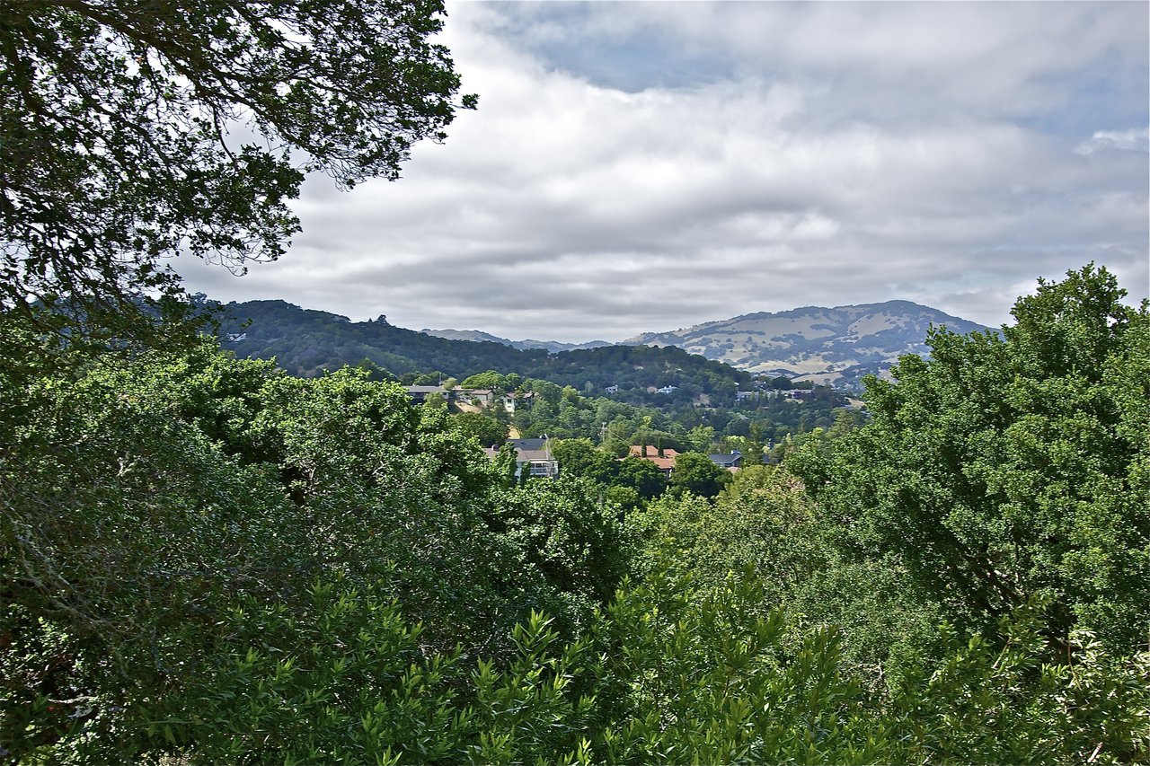 20 Pierce Drive, Novato