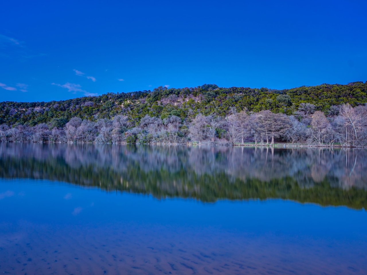Island Woods
